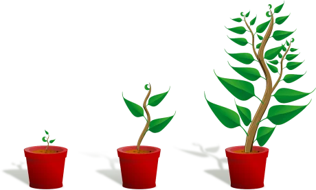 Development