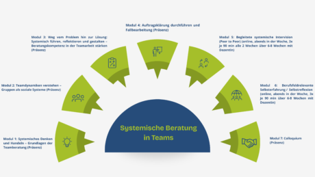 Systemisches Coaching